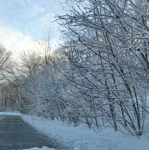 Meet your Posher, Luz elena